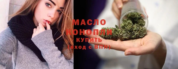 индика Нягань