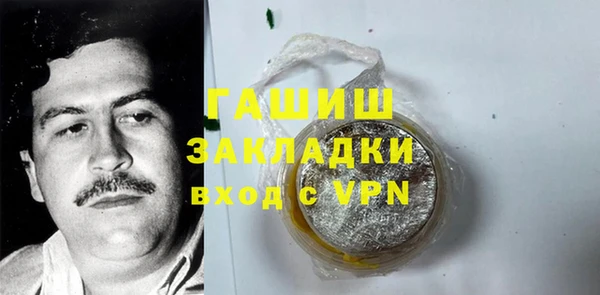 индика Нягань