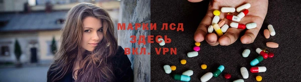 индика Нягань