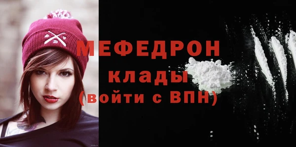 индика Нягань