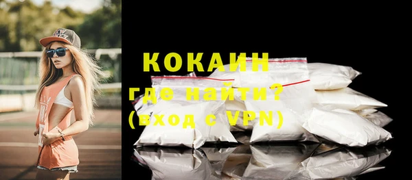 индика Нягань
