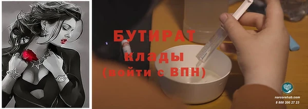 индика Вязьма