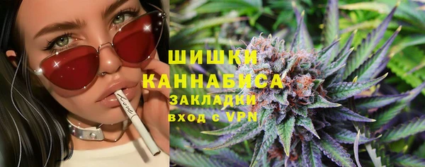 индика Нягань