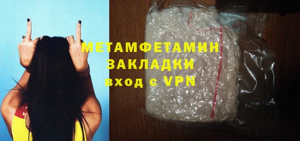 индика Нягань