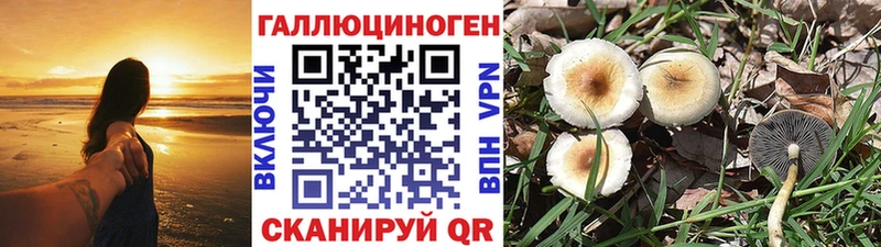 Псилоцибиновые грибы мицелий  мега зеркало  Мензелинск 